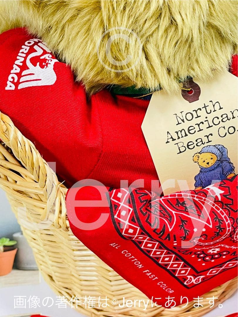 ノースアメリカンベア: MORINAGA MARIE [Ruggles]