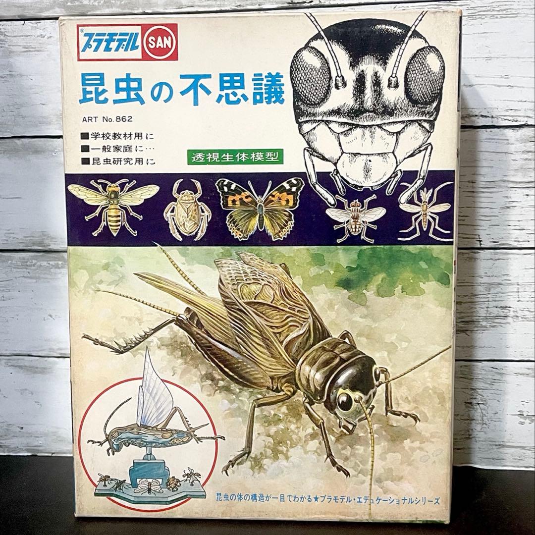 マルサンプラモデル　エディショナルシリーズ　昆虫の不思議　絶版‼︎