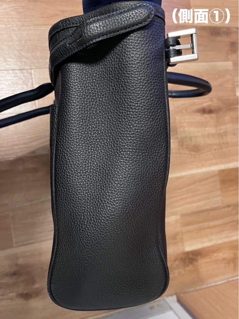 WILDSWANS(ワイルドスワンズ) ・PRECEDE（プリシード）