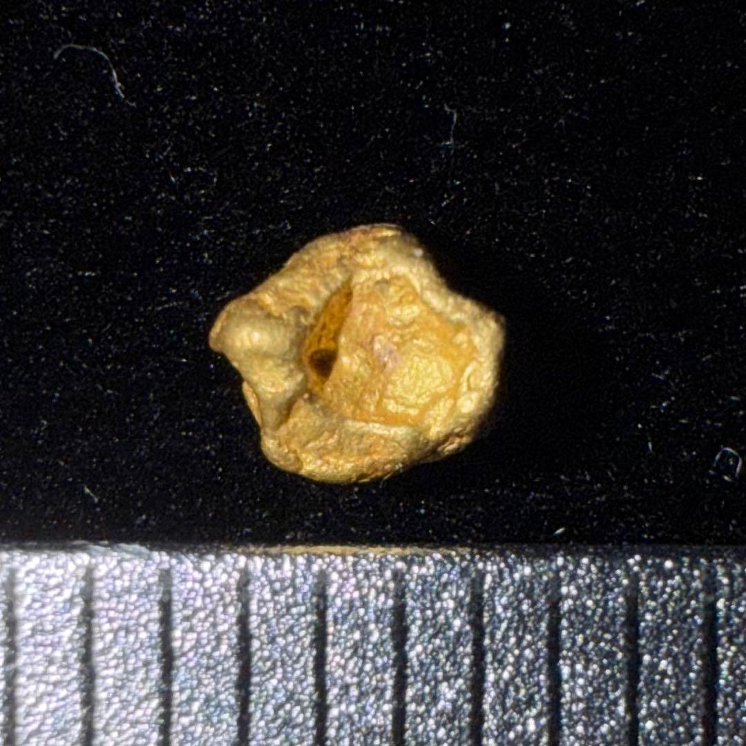 マ*離様 砂金 特大 天然物 【アラスカ産】#100鑑定済 0.25ｇ