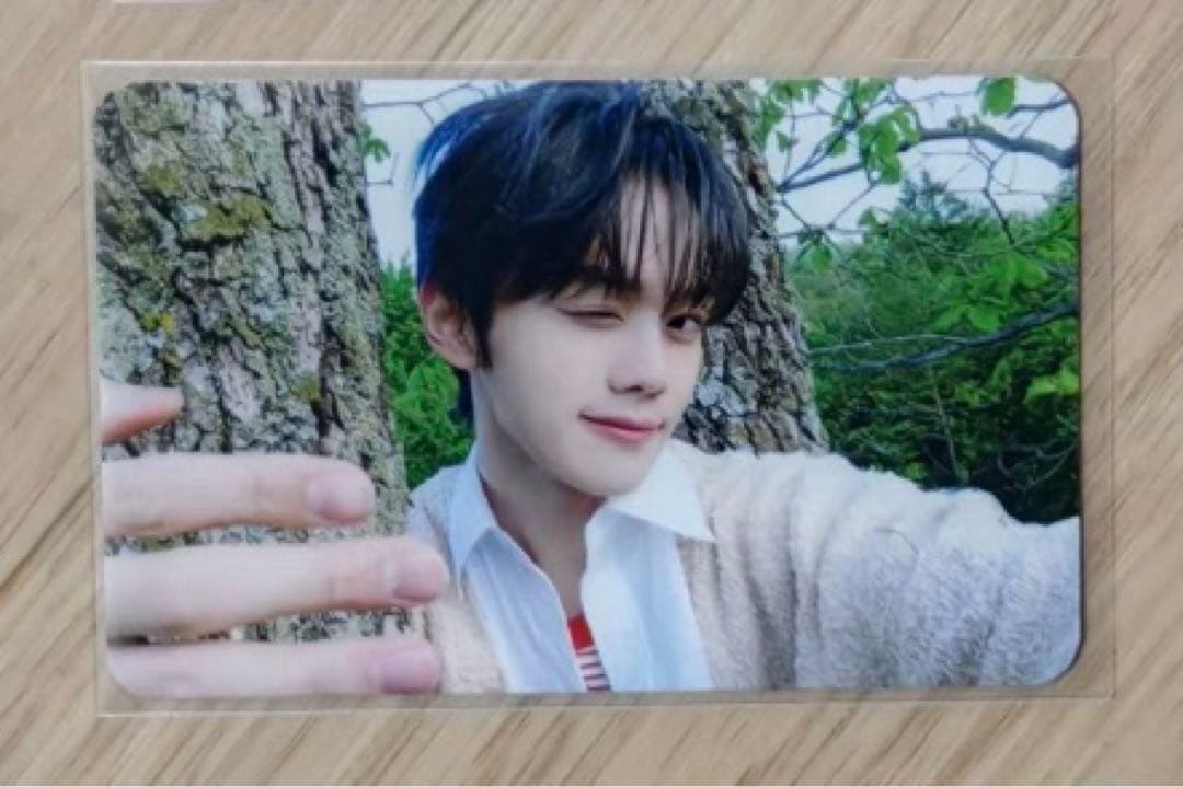 ZB1 ギュビン NEVERSAYNEVER サノク ラキドロ 限定 トレカ