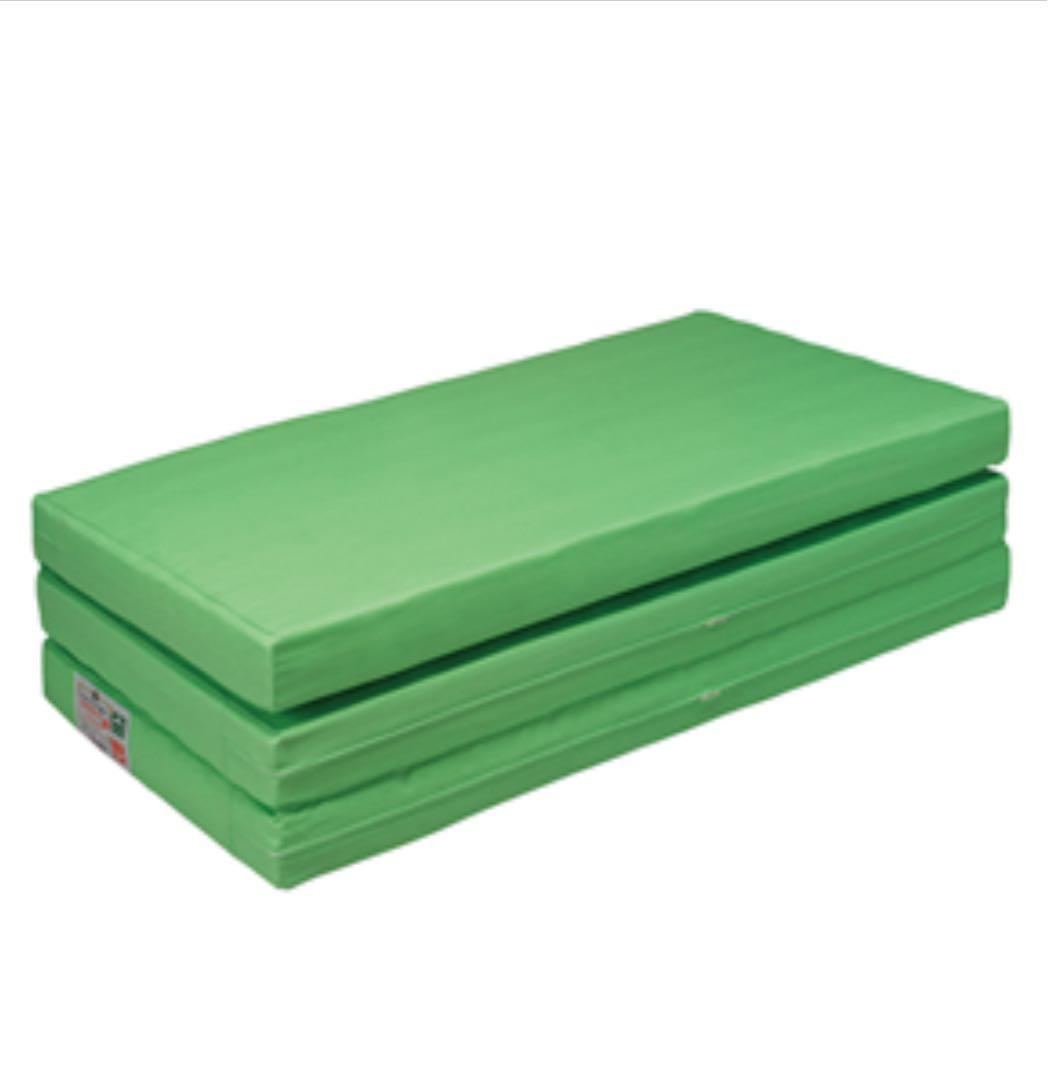 ヘルスウェーブゴールド すややかD.C.Version セミダブル　カイロ