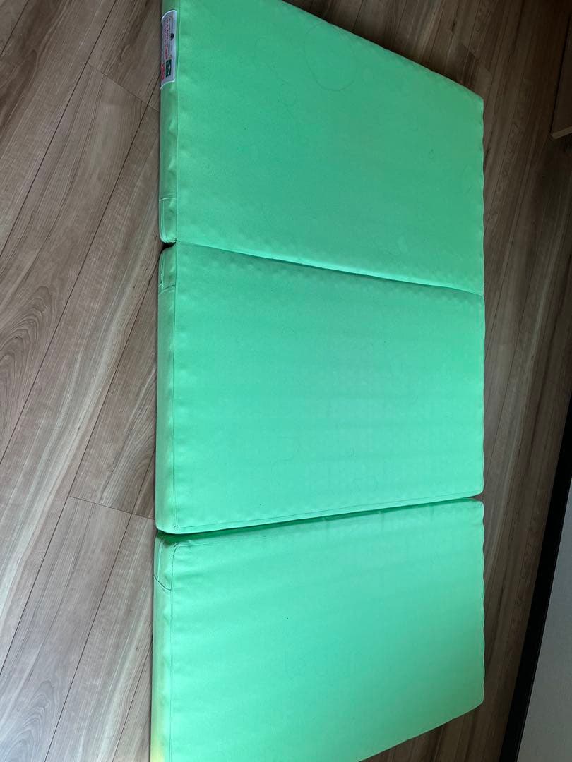 ヘルスウェーブゴールド すややかD.C.Version セミダブル　カイロ