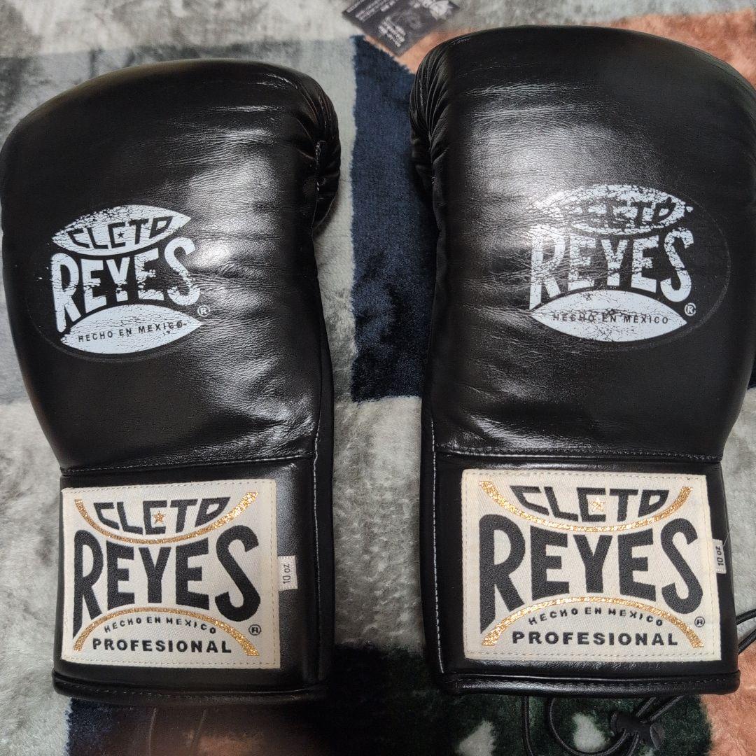 レイジェス　セーフテック　10オンス