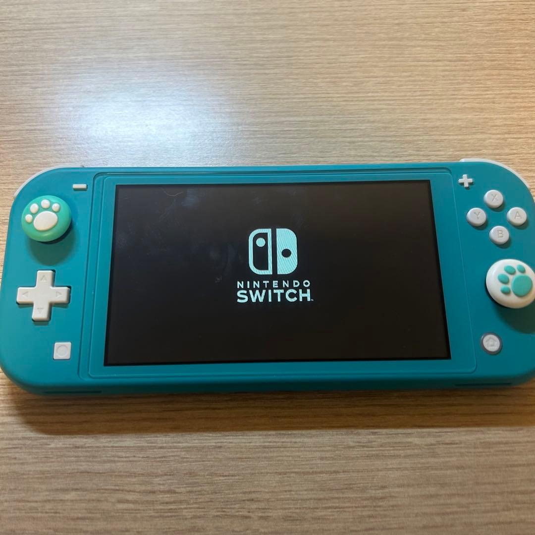 【画面に縦線あり】Nintendo Switch lite
