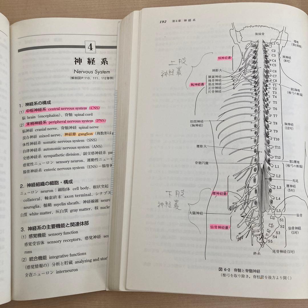 柔道整復師 鍼灸 東洋医学 医療従事者 参考書 セット まとめ売り