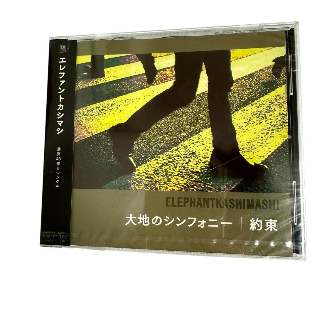新品 エレファントカシマシ 大地のシンフォニー/約束 通常版