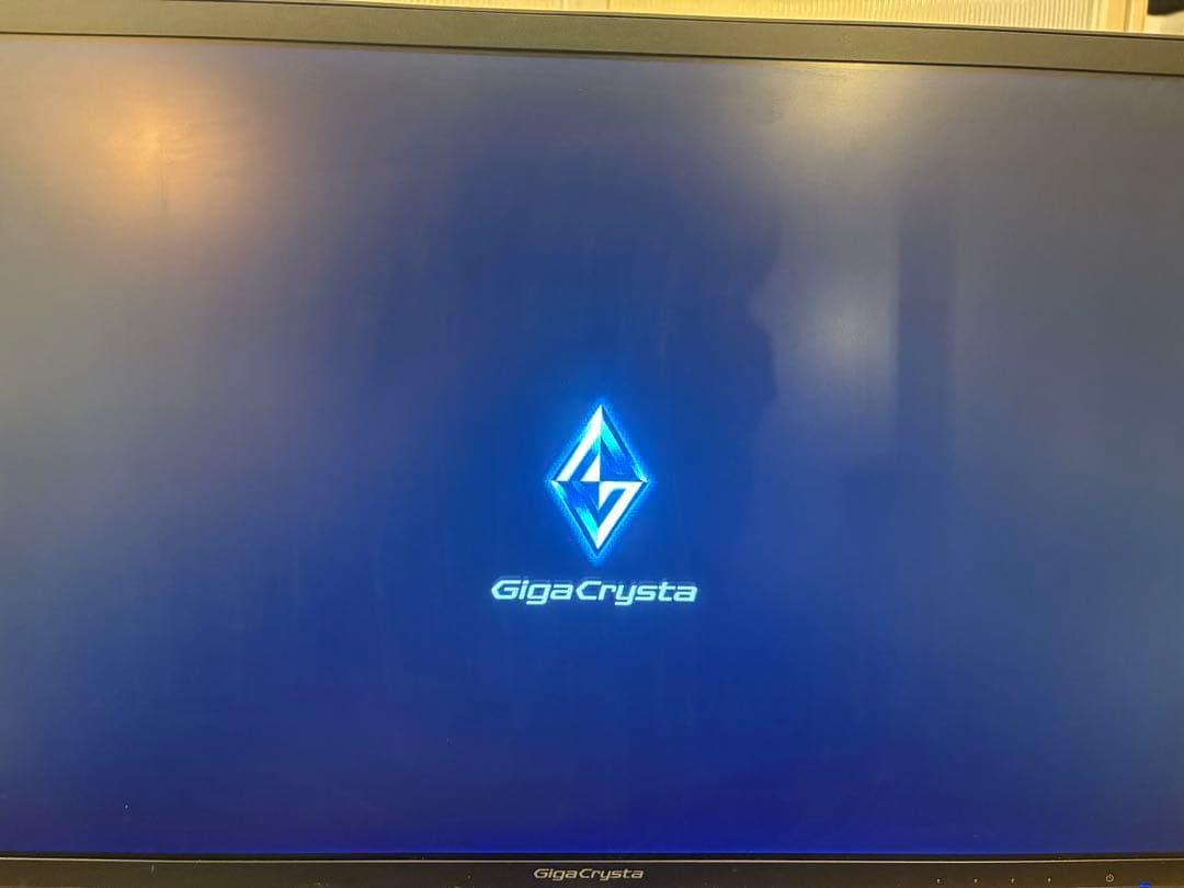 GigaCrysta 144Hz ゲーミングモニター　EX-LDGC242HTB