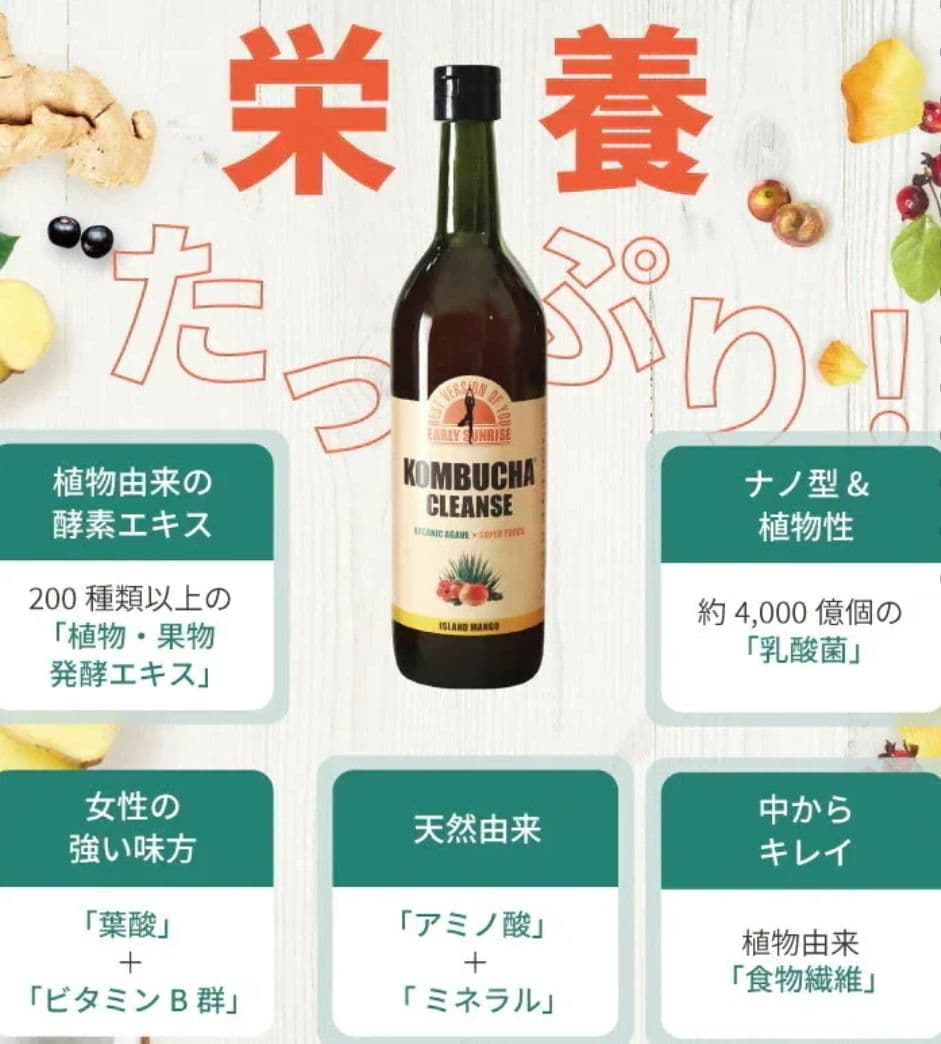 セパルフェ コンブチャクレンズ12本