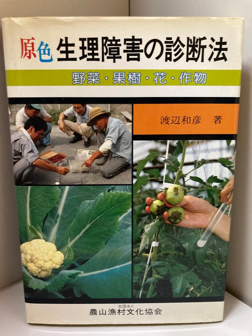 原色 生理障害の診断法―野菜・果樹・花・作物 和彦, 渡辺