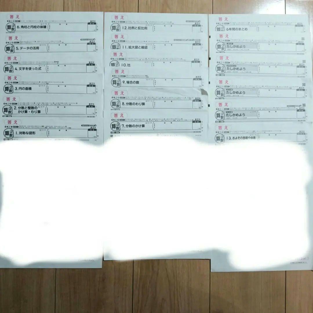 新学社　小学6年生 算数α カラーテスト 答えのみ　18枚