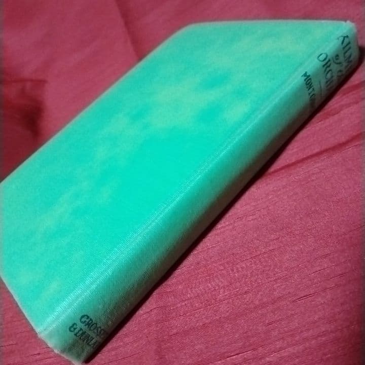 KILMENY of The ORCHARD果樹園のセレナーデ✴1910年✴初版