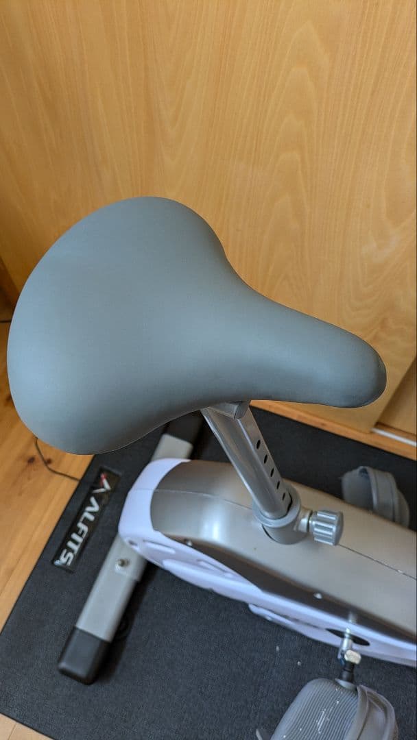 【kayayoka専用】美品 アルインコ AFB6117 プログラム バイク