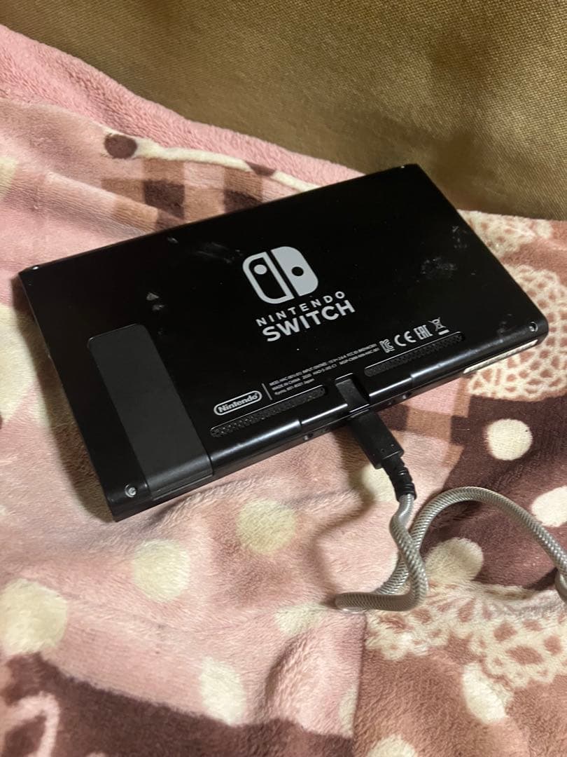 t*o様 Nintendo Switch Lite Nintendo Switc