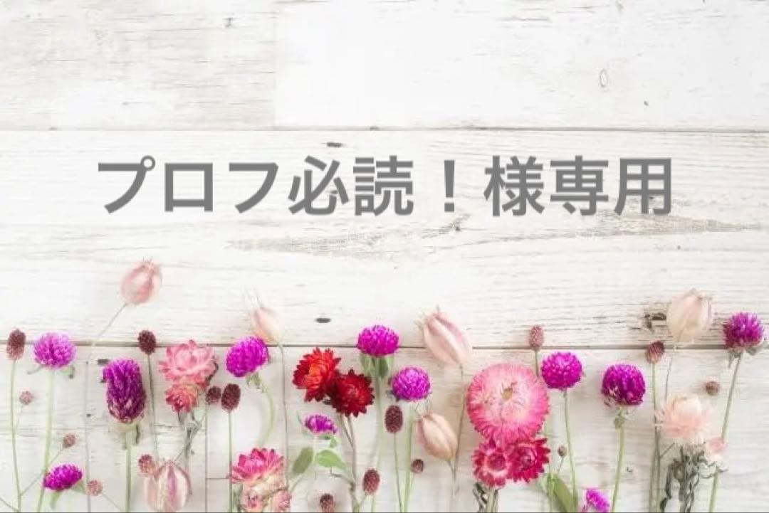 プロフ必読！