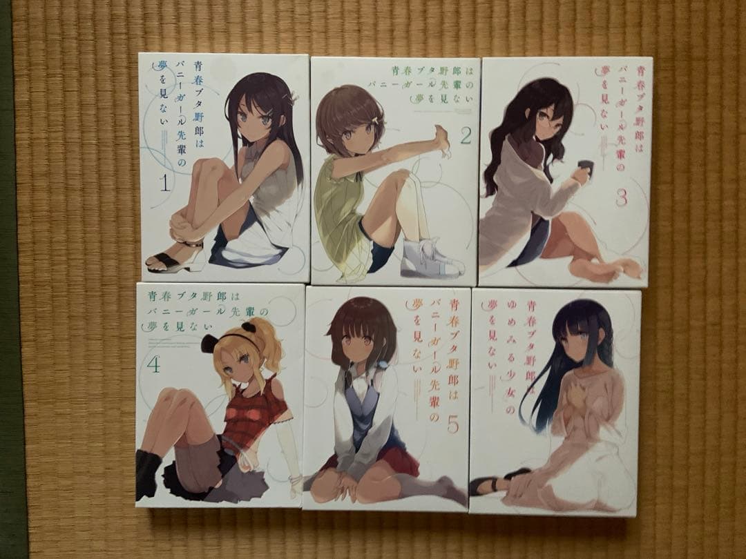 青春ブタ野郎はバニーガール先輩の夢を見ない　DVD版