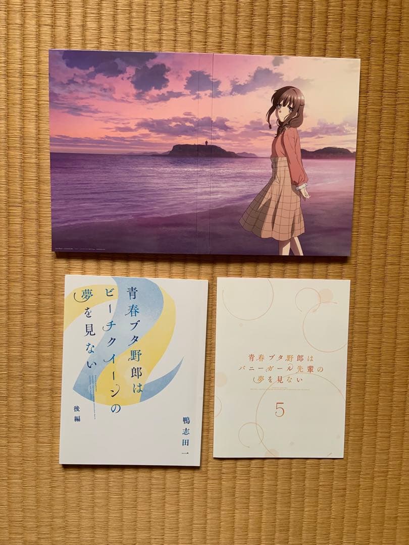 青春ブタ野郎はバニーガール先輩の夢を見ない　DVD版