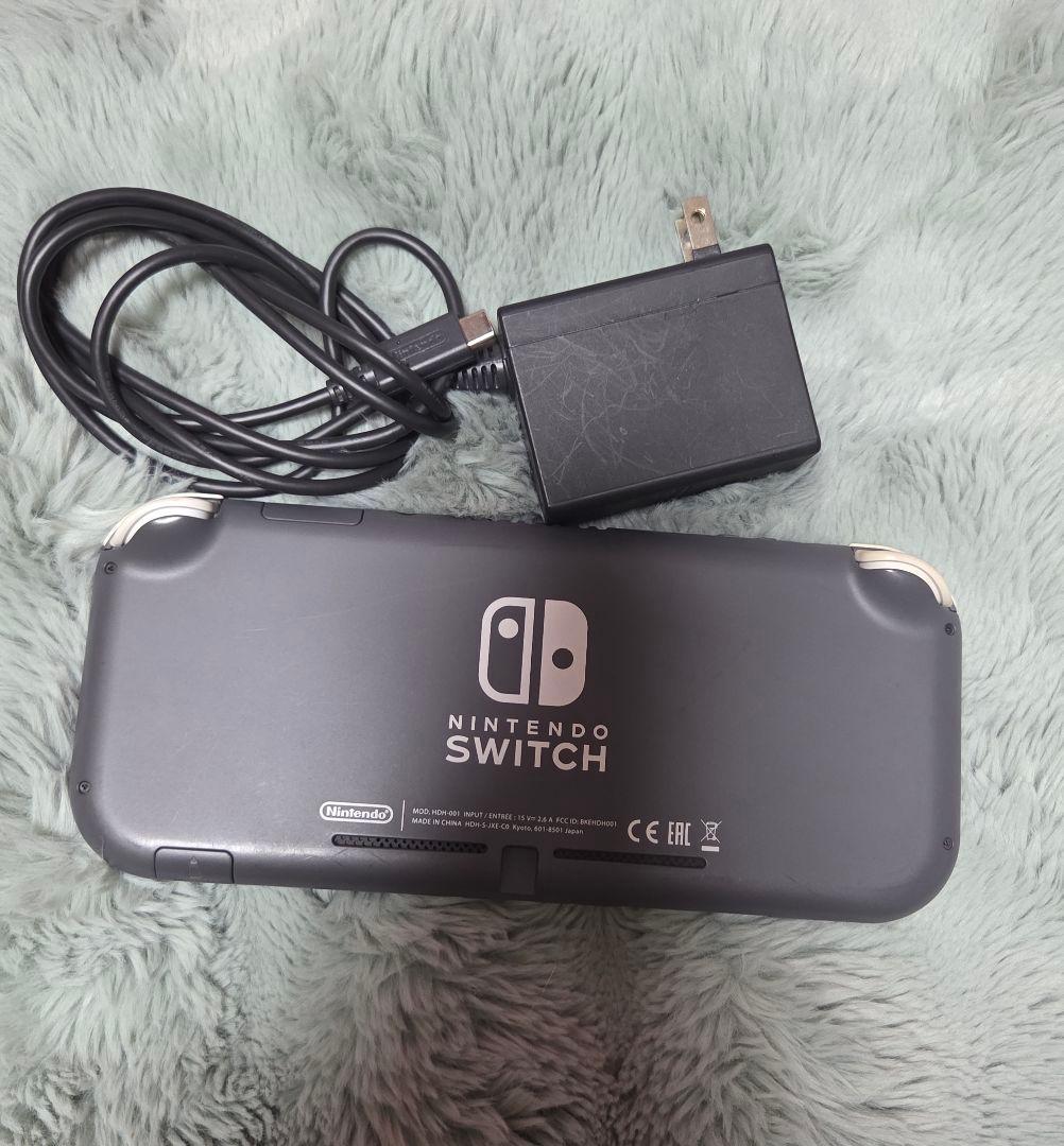 グレー　Nintendo Switch Lite　充電器付き スイッチライト