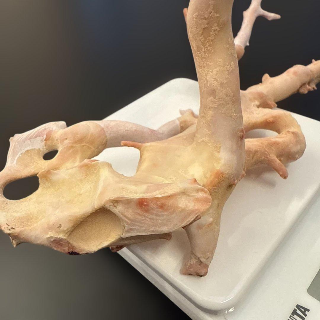 珊瑚　原木　桃色　コーラルピンク系