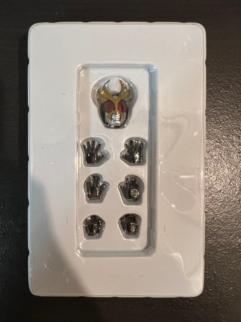 真骨彫製法 仮面ライダーアギト 美中古品 付属品完備