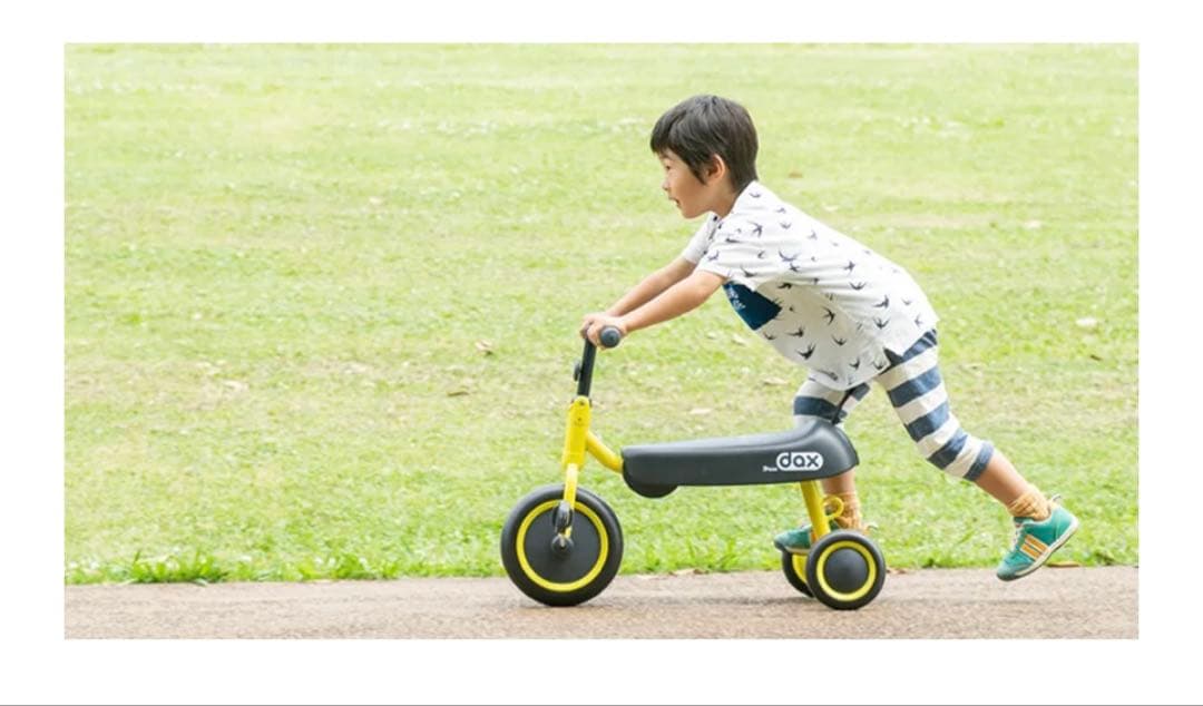 dox 三輪車 ミントグリーン ディーバイクダックス 折りたたみ式三輪車