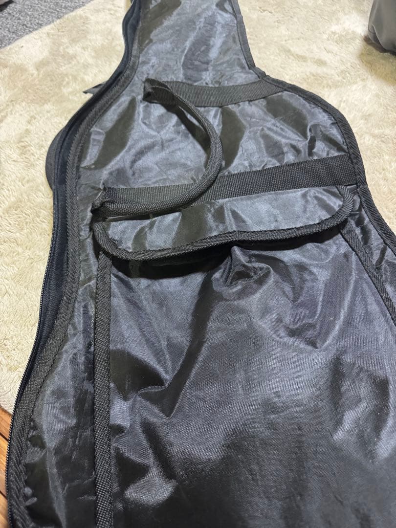 selder エレキギター セット。