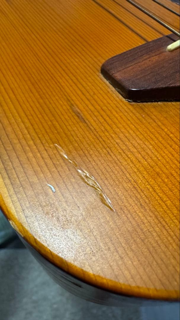 K.Yairi Enjoy Part1トラベルギター