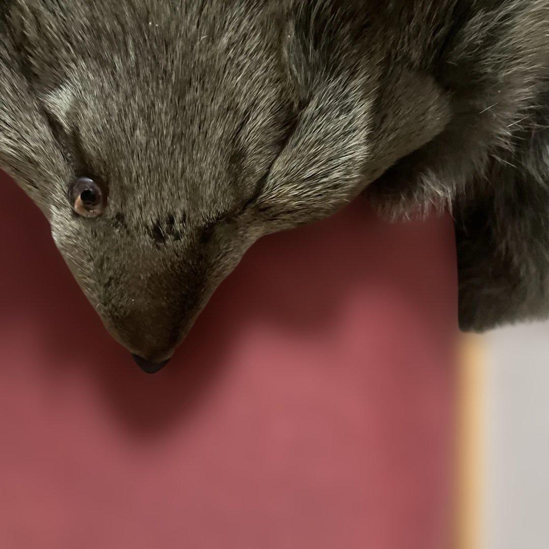 オリーブグリーン フォックスファーショートジャケット　ジレ　ベスト