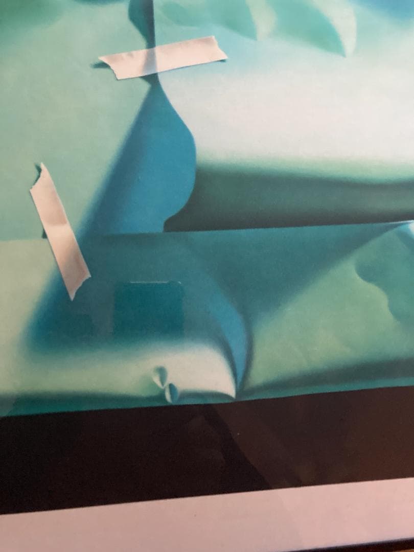 ユルヨ・エーデルマン 「緑の包み」 リトグラフ　直筆サイン入り