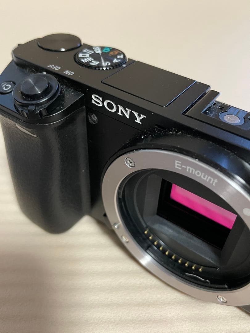 SONY α6000 ILCE-6000 動作確認済【総ショット数1557】