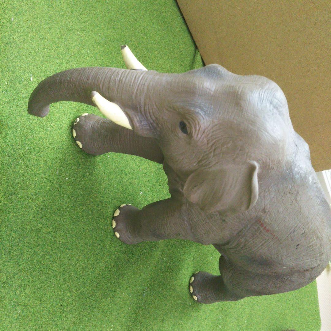 リアルフィギュア&ぬいぐるみset