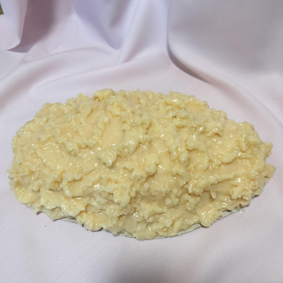 脂肪　模型　3kg