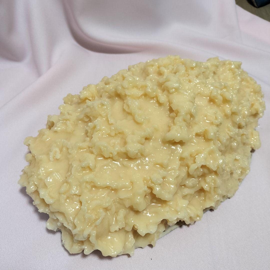 脂肪　模型　3kg