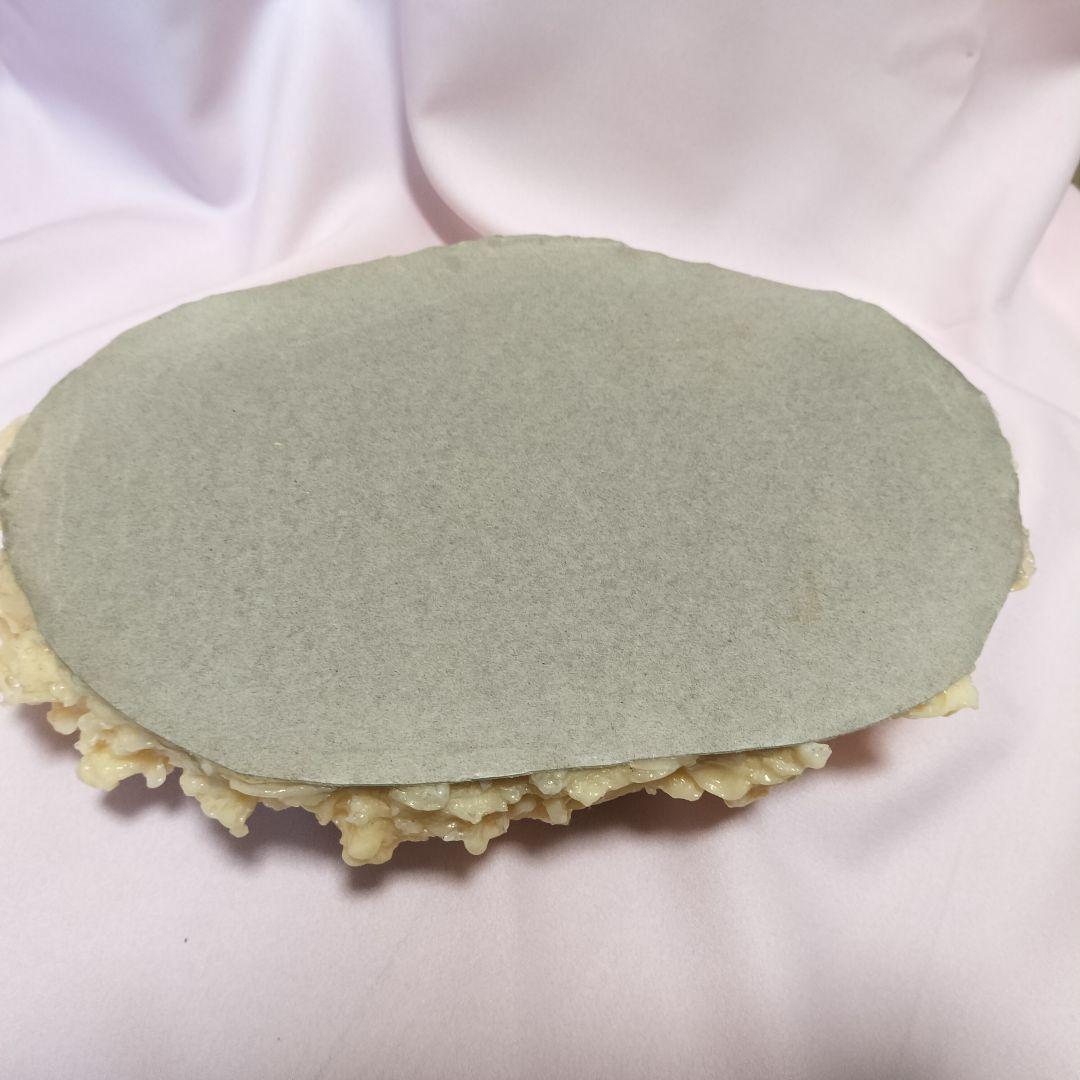 脂肪　模型　3kg