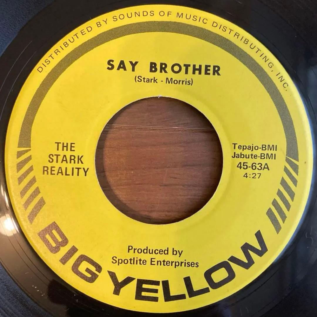 THE STARK REALITY Say Brother 7インチ