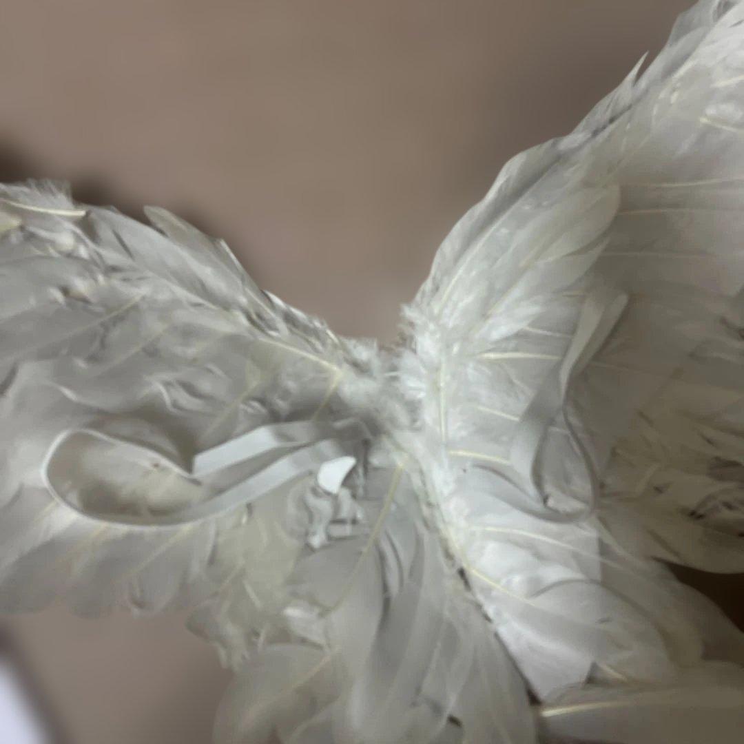 パンティ＆ストッキングwithガーターベルト ストッキング 天使衣装 Sサイズ