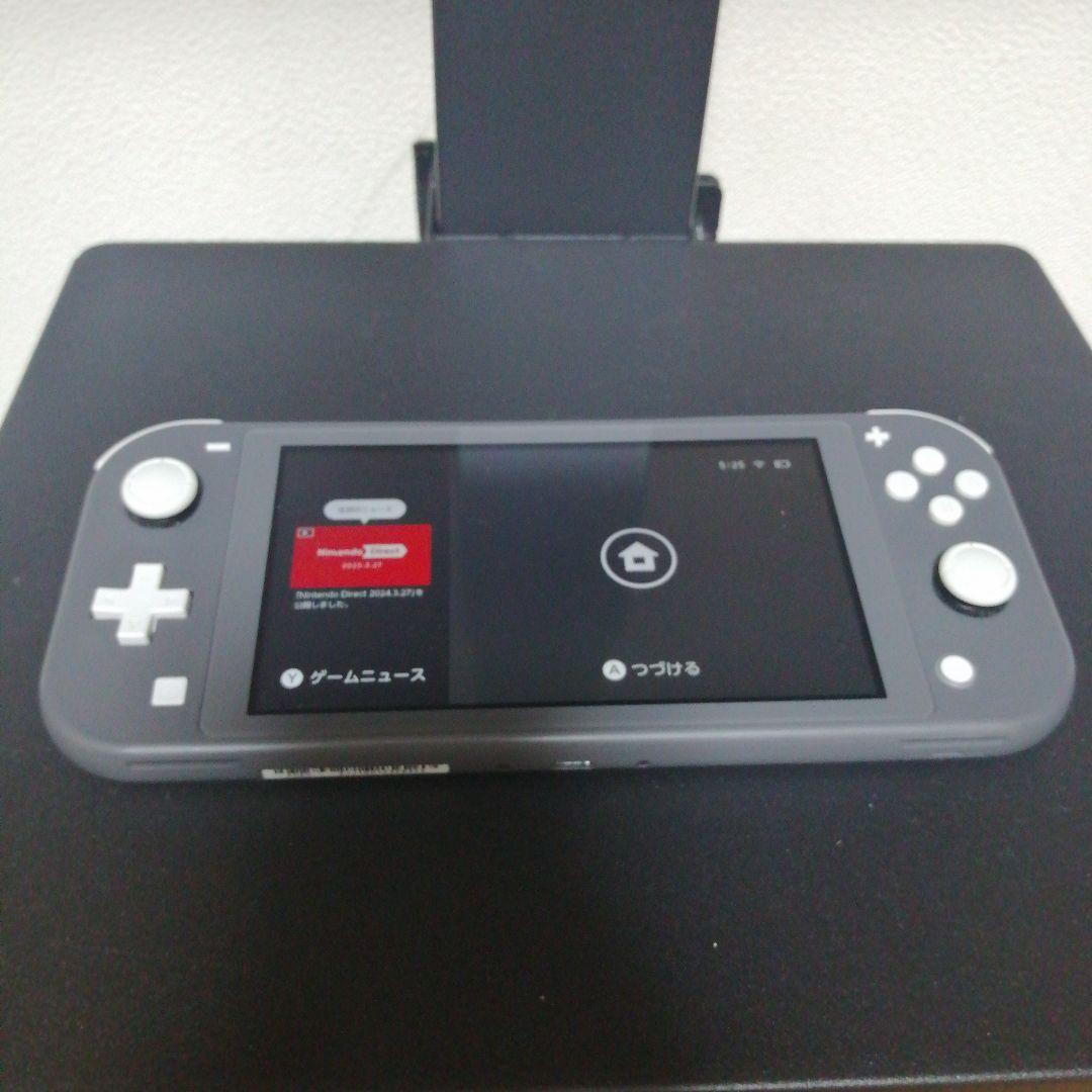 Nintendo Switch Lite グレー 本体 中古品 動作不良なし