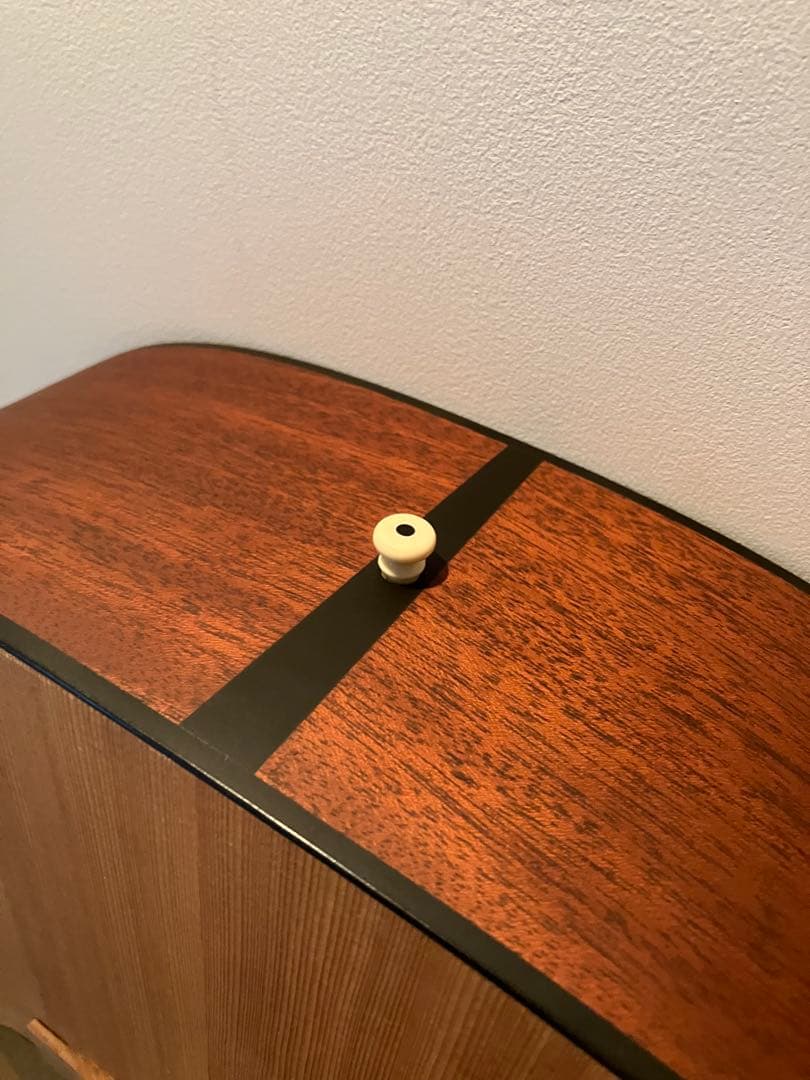 【マギーちゃん専用】★超美品★Martin DM（ハードケース付き）