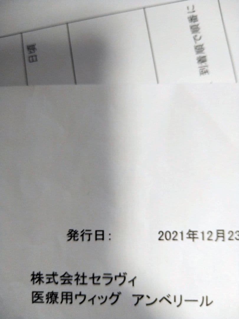 アンベリール　ウイッグ　M