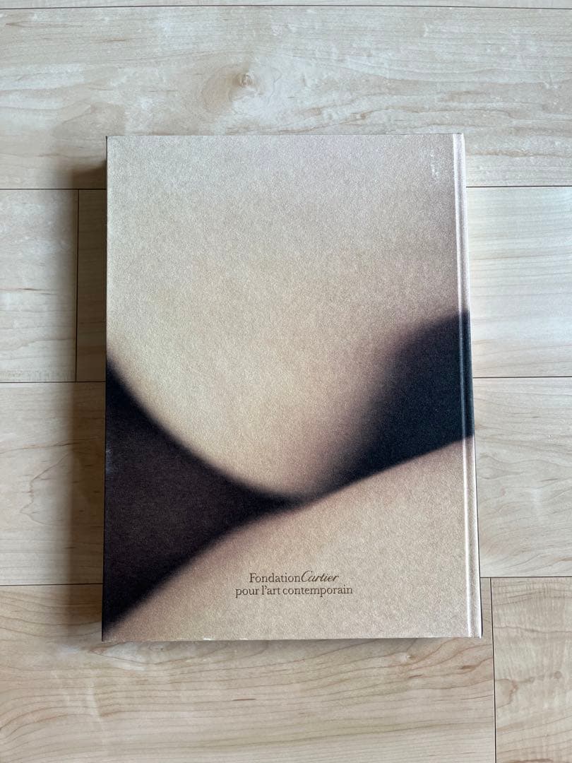 洋書 David Lynch Digital Nudes