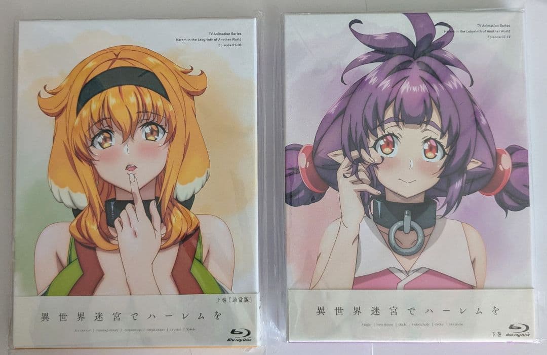 異世界迷宮でハーレムを Blu-ray BOX 上下巻セット