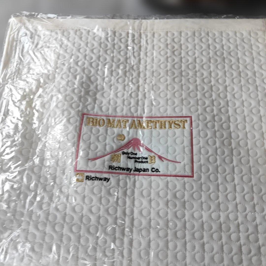 【ジャンク品】リッチウェイ バイオマット ミニ Richway BIO-MAT