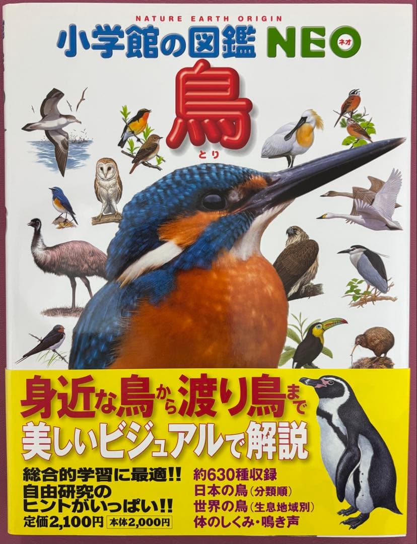 小学館の図鑑　NEO 9冊 小学館のこども図鑑　プレNEO 2冊