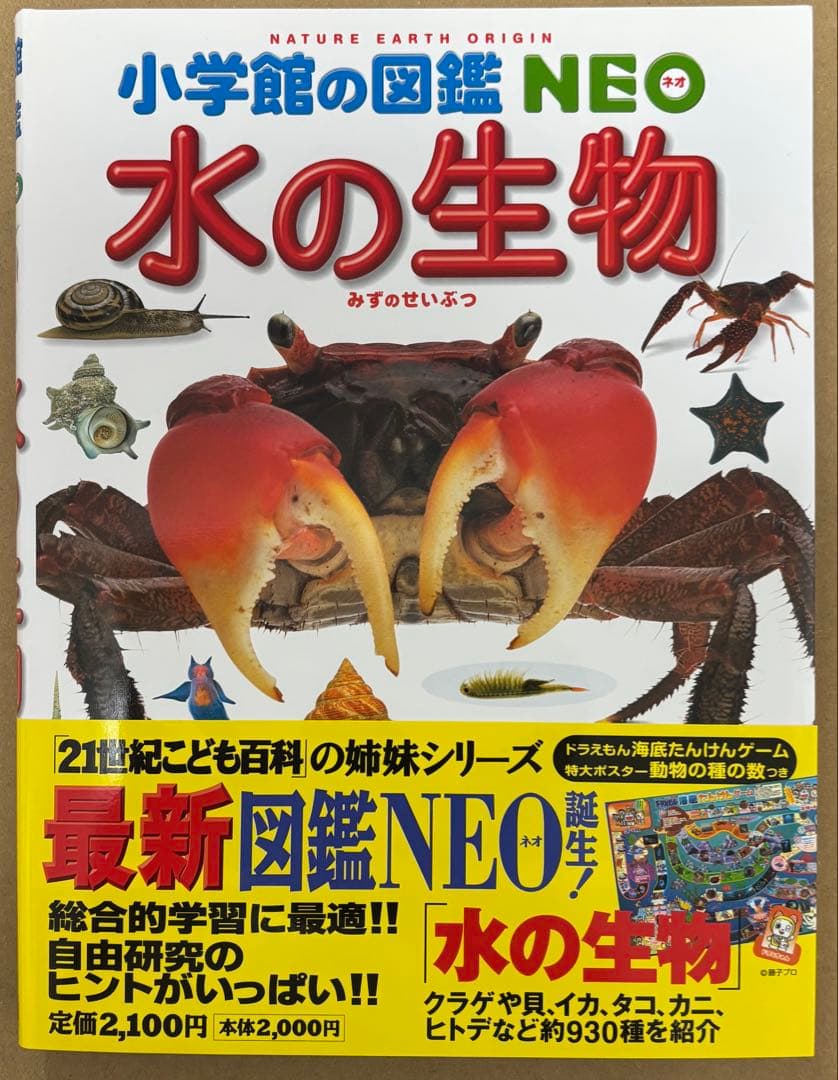 小学館の図鑑　NEO 9冊 小学館のこども図鑑　プレNEO 2冊