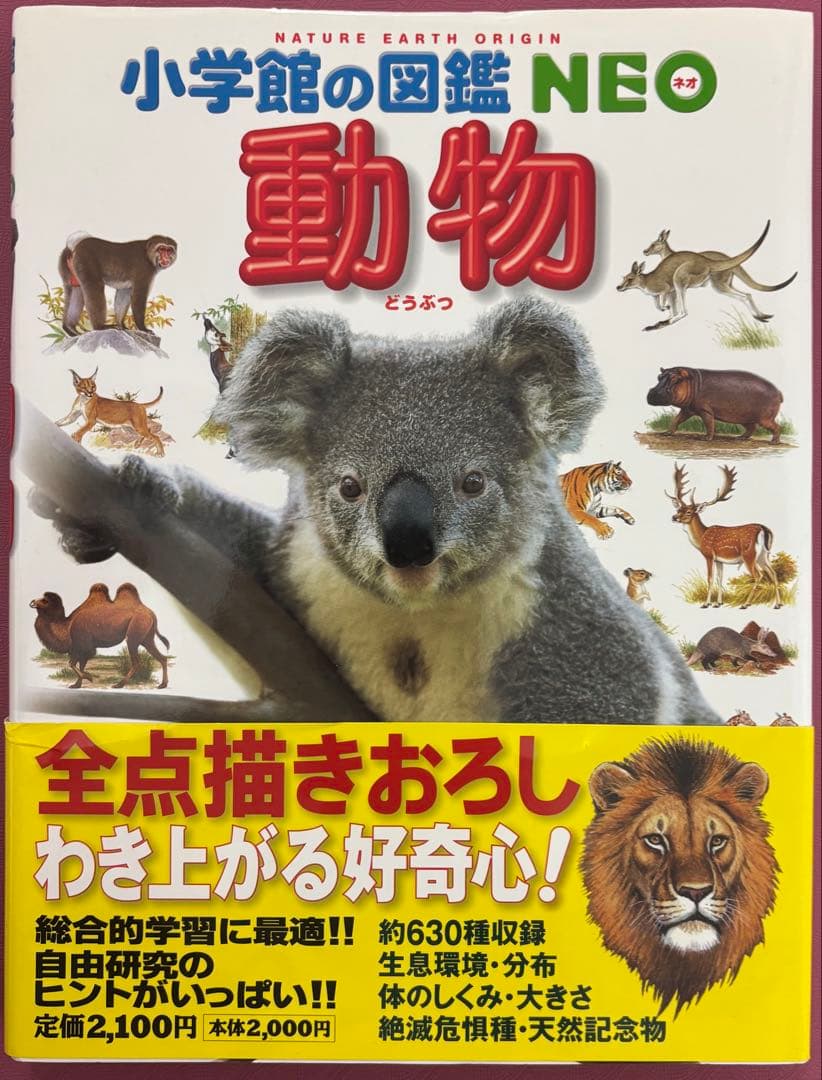 小学館の図鑑　NEO 9冊 小学館のこども図鑑　プレNEO 2冊