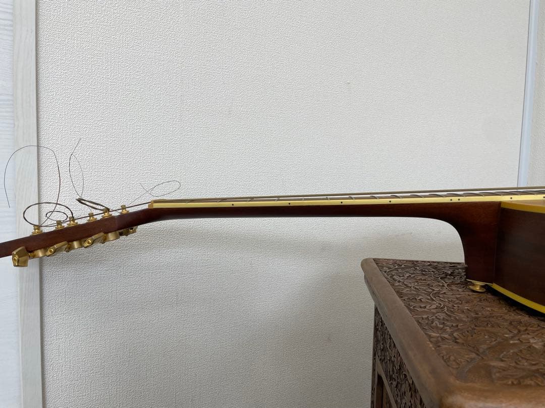 【E】Ibanez Art Wood RLGツリーオブライフインレイ ケース付き