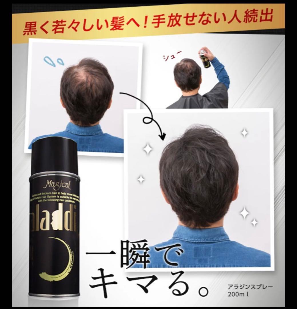 薄毛ハゲ隠しヘアスプレーaladin 200g 3本セット