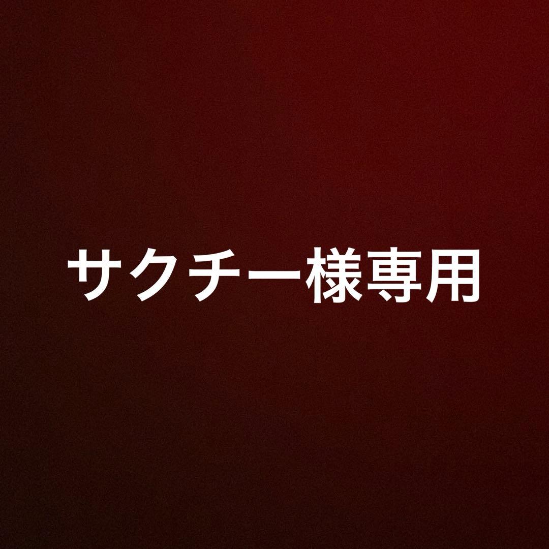 CHANEL 2wayバッグノベルティ最終価格