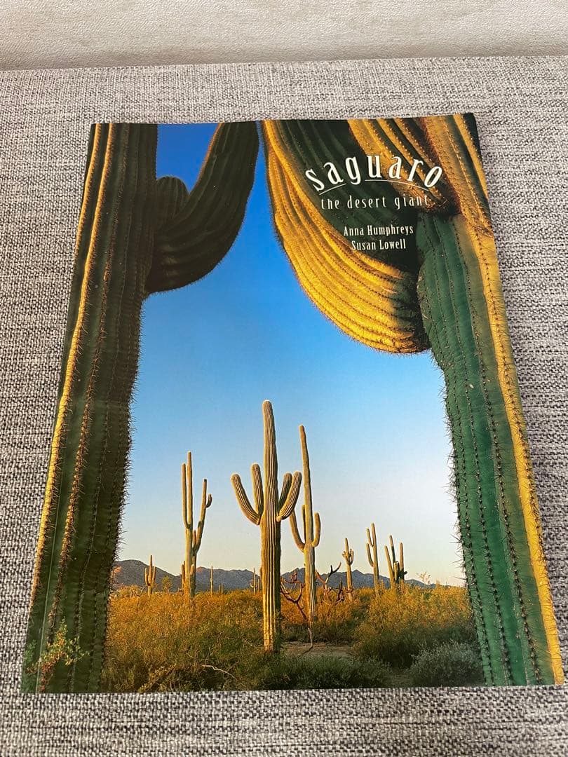 【希少 新品未使用】Saguaro the desert giant