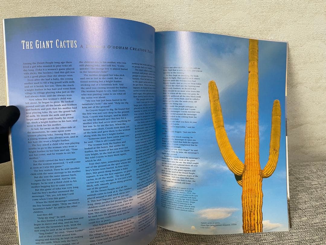 【希少 新品未使用】Saguaro the desert giant